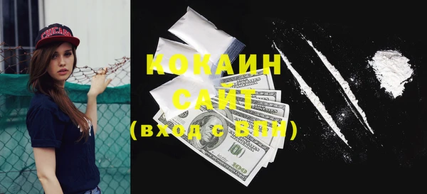 прущие грибы Богородск
