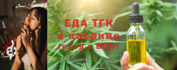 гидра Богородицк
