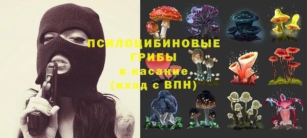 прущие грибы Богородск