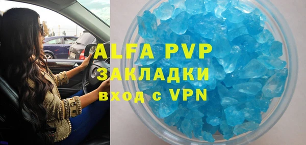 гидра Богородицк