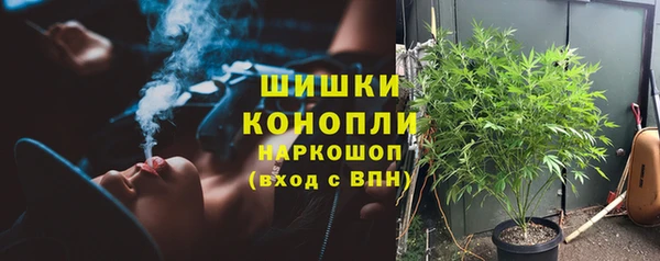 гидра Богородицк